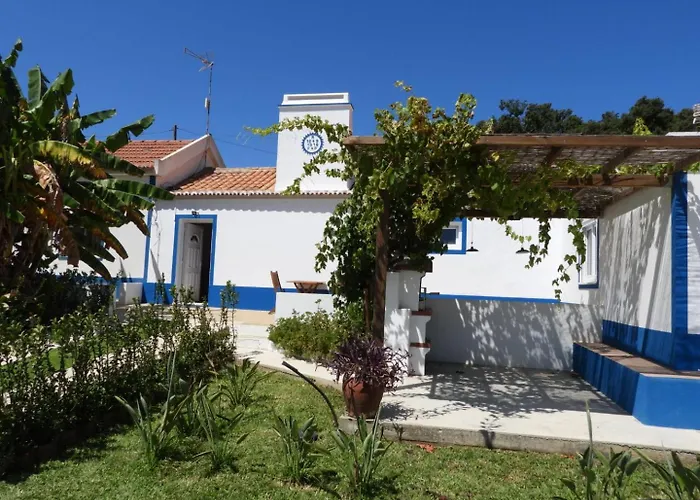Monte Da Vinha Nova